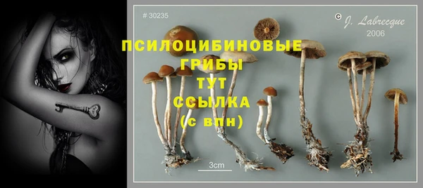 прущий лед Арсеньев