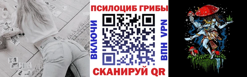 Галлюциногенные грибы мицелий  где можно купить   Реж 